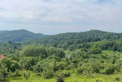 Teren de 6000 mp, în Urluiești - 3