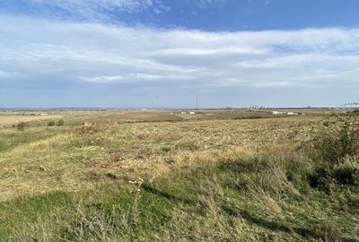 Teren agricol extravilan de 15000 mp, în Albota - 6
