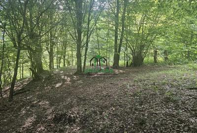 Teren extravilan cu potential turistic - Brezoi - 3