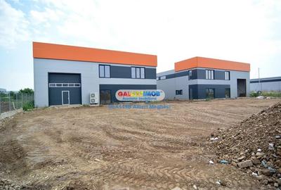 Spațiu industrial, 590 mp în Chiajna