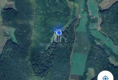 Teren de vanzare, 20.000Mp , Comuna Danes, drumul Crisului - 10