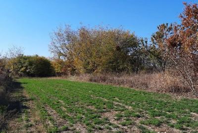 Casă cu 4 camere cu Teren 7720 Mp în Brătești - 15