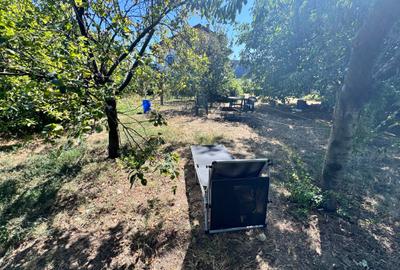 Casa individuala P+1+M amplasata pe un teren de 1612 mp. - 57