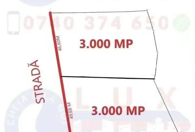 Teren de 6000 mp, în Sarinasuf - 10