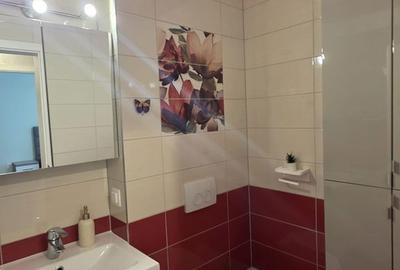 Apartament cu 3 camere, mobilat în Bartolomeu - 19