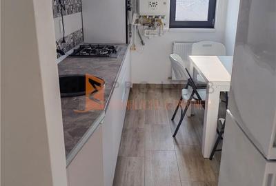 Apartament cu 2 camere în Lacu - 2
