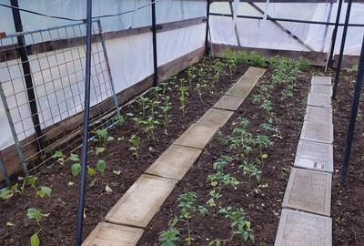 Casa de vanzare Costeiul de sus, com.Margina,jud.Timis - 10