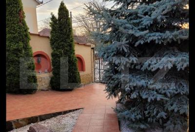 Casa Evreiasca Ta?nad, Zona Centrala - 5