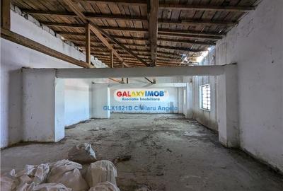 Colentina Parcul Plumbuita,  S+P+E, suprafata 1032 mp,,teren 533 m - 11