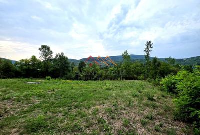 Teren Construcții intravilan de 2600 mp, în Drăgăneasa - 3