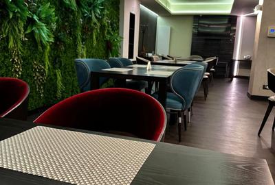 Spațiu comercial ultracentral, mobilat si echipat modern -aprox. 500 mp + terasă - 4