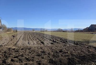 Casă cu 3 camere cu Teren 4669 Mp în Leț - 2