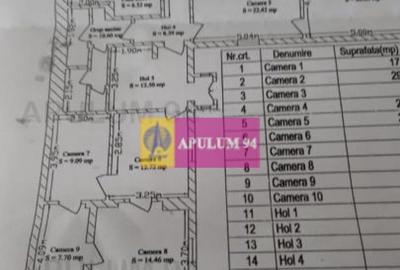 Vila P+1+pod- Parcul Ioanid - 11