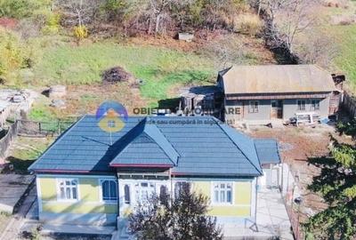 CASĂ de POVESTE intr-o zona linistita + teren 3000 mp - COSTIȘA - 3