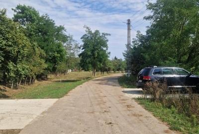 Terenuri arabile + teren intravilan cu casă – Teghea, Satu Mare Terenuri arabile + teren intravilan cu casă – Teghea, Satu Mare - 9