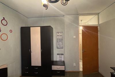 2 Camere Campia Libertatii Pet friendly - 7