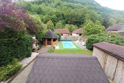 Casă individuală cu 7 camere cu Canalizare în Valea Mănăstirii - 9