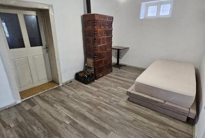 Giarmata  Mare – Casa 4 Camere – Central – Teren - 8