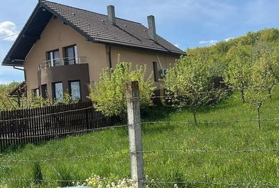 Teren Construcții intravilan de 5300 mp, în Unirea - 2