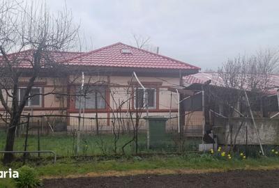 Casă cu 6 camere cu Teren 1760 Mp în Măldăeni - 1