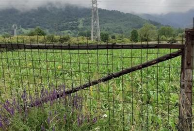 Teren de 1706 mp, în Stejaru (Pângărați)