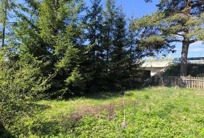 Casă cu 4 camere în Poiana Stampei - 3