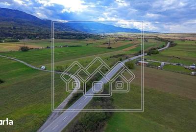 Teren de 3942 mp, în Sadu - 5