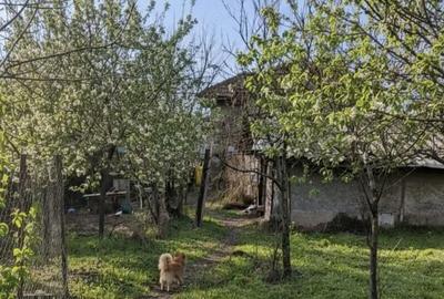 Teren de 1451 mp, în Podari - 7