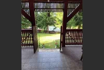 Proprietate Unică în Inima Naturii - Galaoaia, Mureș - 5