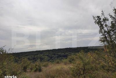 Teren de 6291 mp, în Bucovăț - 3