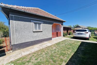 Casă cu 6 camere cu Teren 4728 Mp în Mădăras - 17