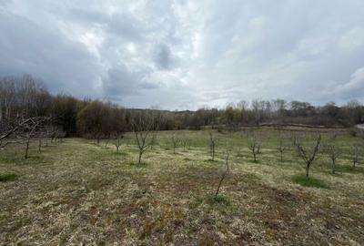 Spațiu comercial, în Bărbulețu - 8