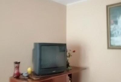 Casă cu 2 camere cu Teren 980 Mp în Chendu - 3