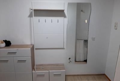 Apartament cu 2 camere semidecomandat în Banat - 6