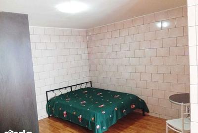 Garsonieră semidecomandată în Vitan - 5