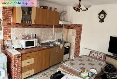 Tihuana Imobiliare:casa de vanzare-Buna Vestire - 9