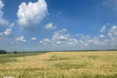 Teren de 954 mp, în Fundeni