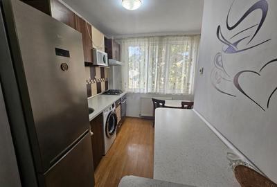 Apartament 3 camere, Negru Voda - Brancoveanu - 3