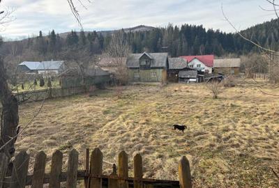 Casa batraneasca , teren 2064mp, Sucevita - 2