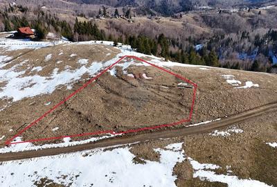 Teren agricol extravilan de 1924 mp, în Șirnea - 4