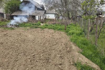 Casă cu Teren 1373 Mp în Prăjoaia - 1