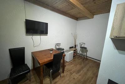 Casă cu 4 camere cu Teren 495 Mp în Copăceni - 3