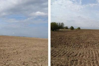 Teren de 5800 mp, în Scurtu Mare - 6