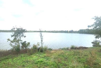 Teren Butimanu - 3700 mp-deschidere lac - 1