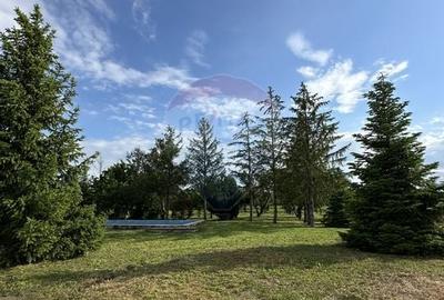 Proprietate specială, de 937 mp, în Dragomirești-Deal - 45