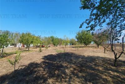 Teren intravilan agricol si teren curti constructii Lot 2 Parcela A326/49 Teren intravilan agricol si teren curti constructii Lot 2 Parcela A326/49 - 18