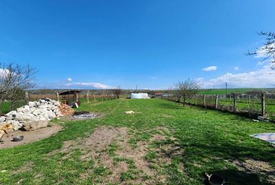 Casă cu 4 camere în Sântandrei - 8