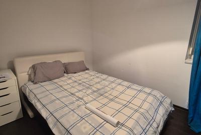 Apartament cochet -vecin parcul Botanic, intre Piata UNIRII și IULIUS MALL - 21
