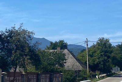 Teren de 11541 mp, în Buhalnița - 4