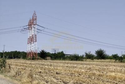 Teren intravilan Padurisu Com Frumusani, acces Sos Oltenitei, A0 - 6